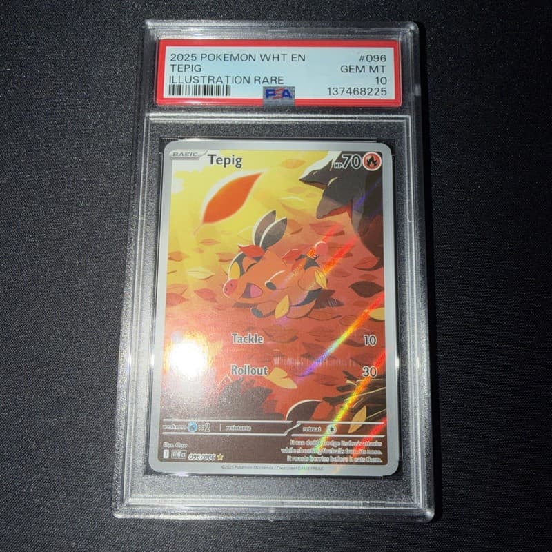 Pokemon - Tepig - White Flare Illustration Rare - 096/086 PSA 10