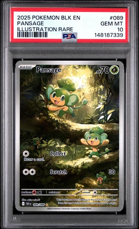2025 POKEMON BLK EN-BLACK BOLT ILLUSTRATION RARE #089 PANSAGE PSA 10