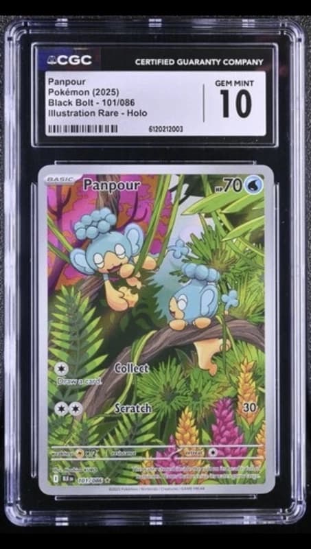 Pokemon Panpour Black Bolt 101 /086 CGC 10 Gem Mint