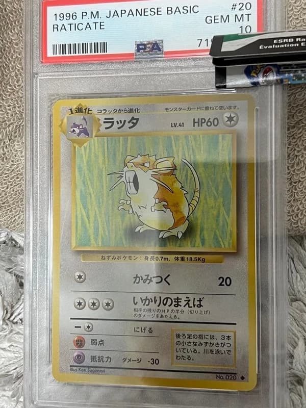 PSA10 Pokemon Card Raticate #20 1st Expansion Pack Old Back 1996 GEM MT Japanese