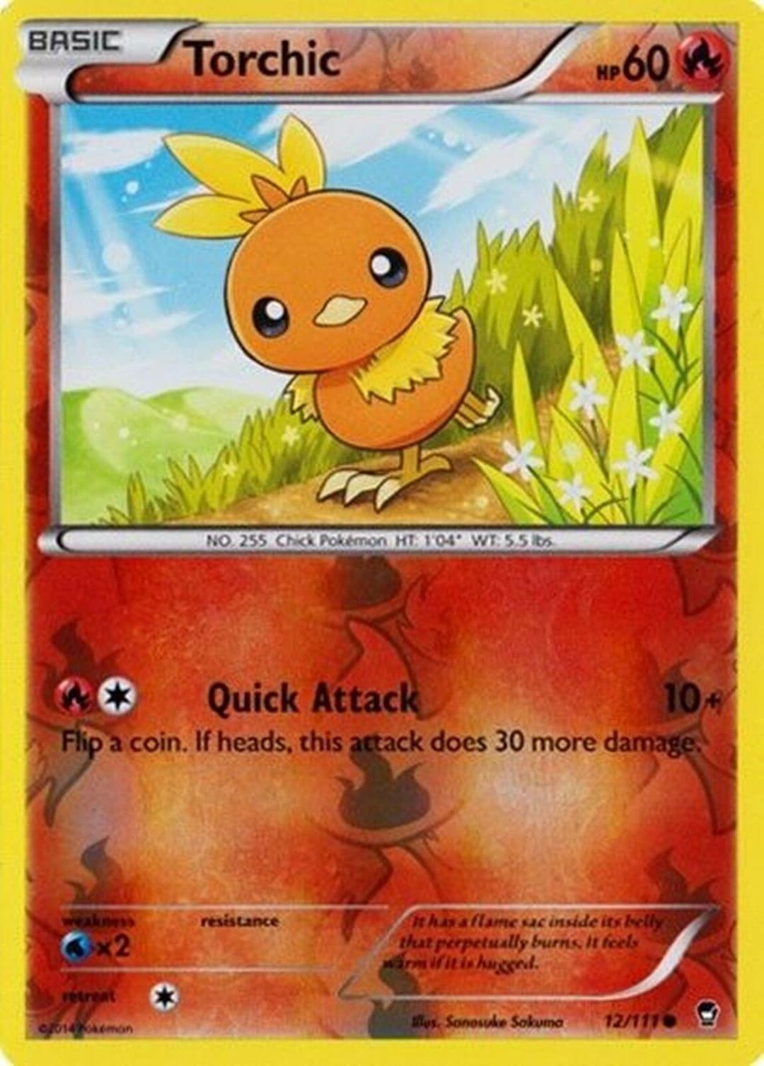 Torchic — Furious Fists — PSA 9 | CardIndex
