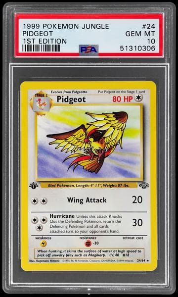 1999 Pokemon Jungle 1st Edition Pidgeot #24